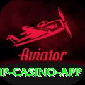 365vegas VIP Casino App